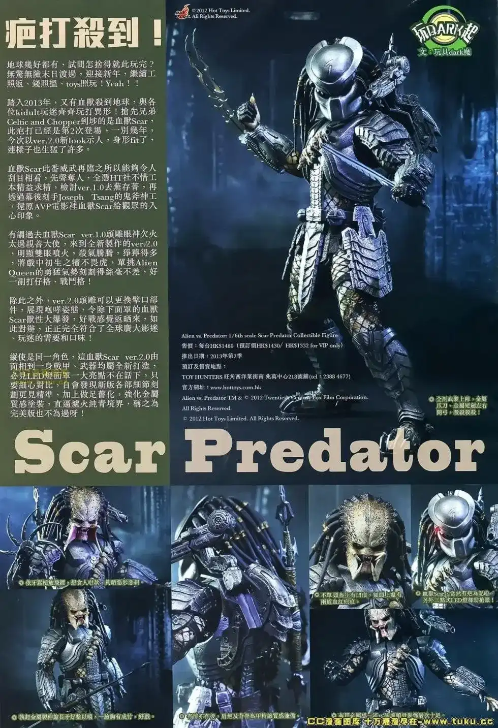 第31页