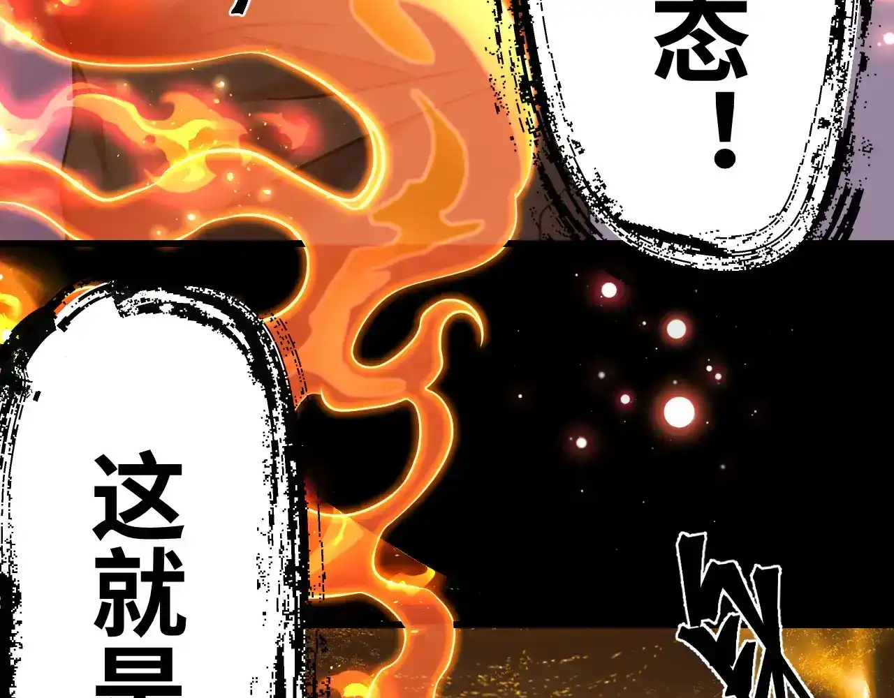 第242页
