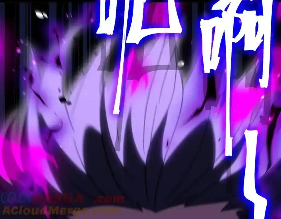 第229页