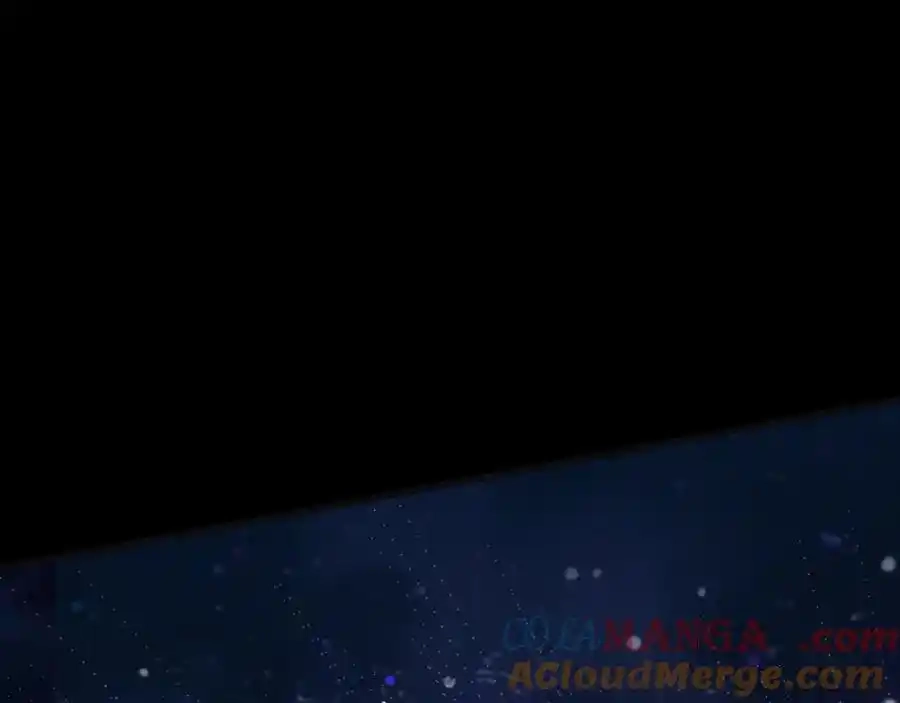 第217页