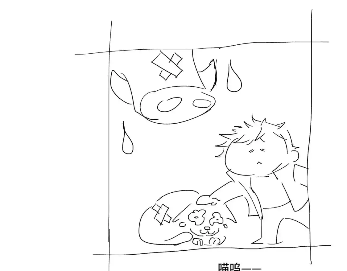 第215页