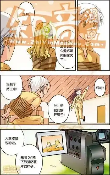 第118页