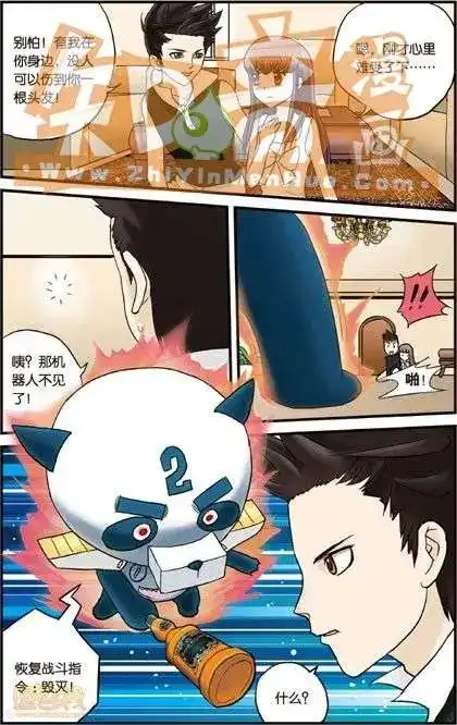第43页