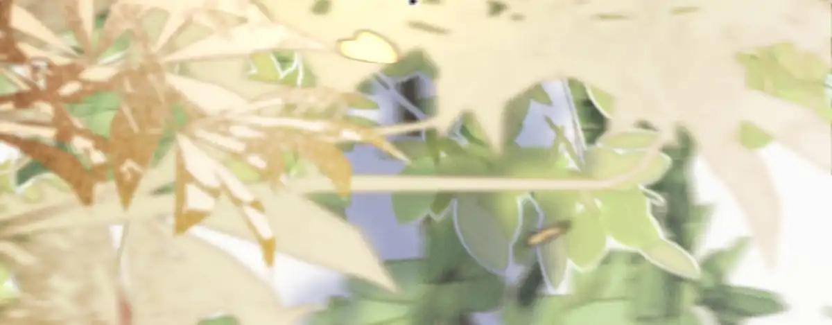 第174页