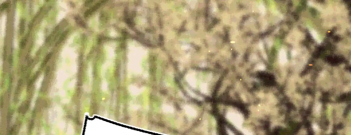 第116页