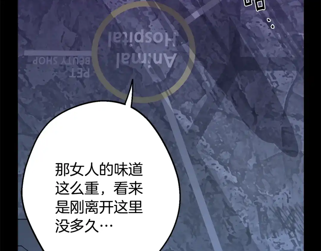 第247页