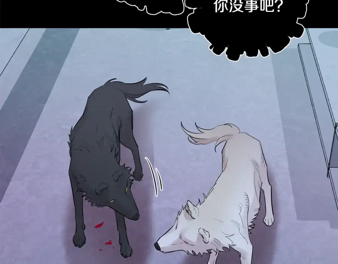 第126页