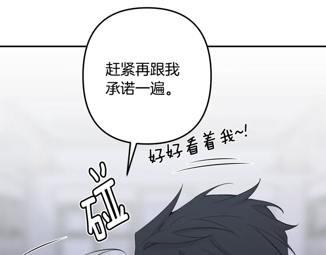 第221页