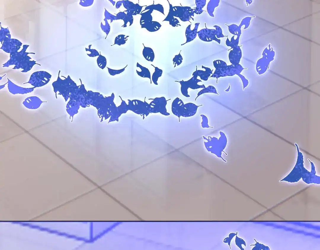 第205页