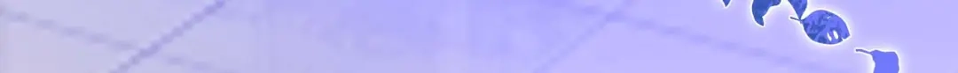 第206页