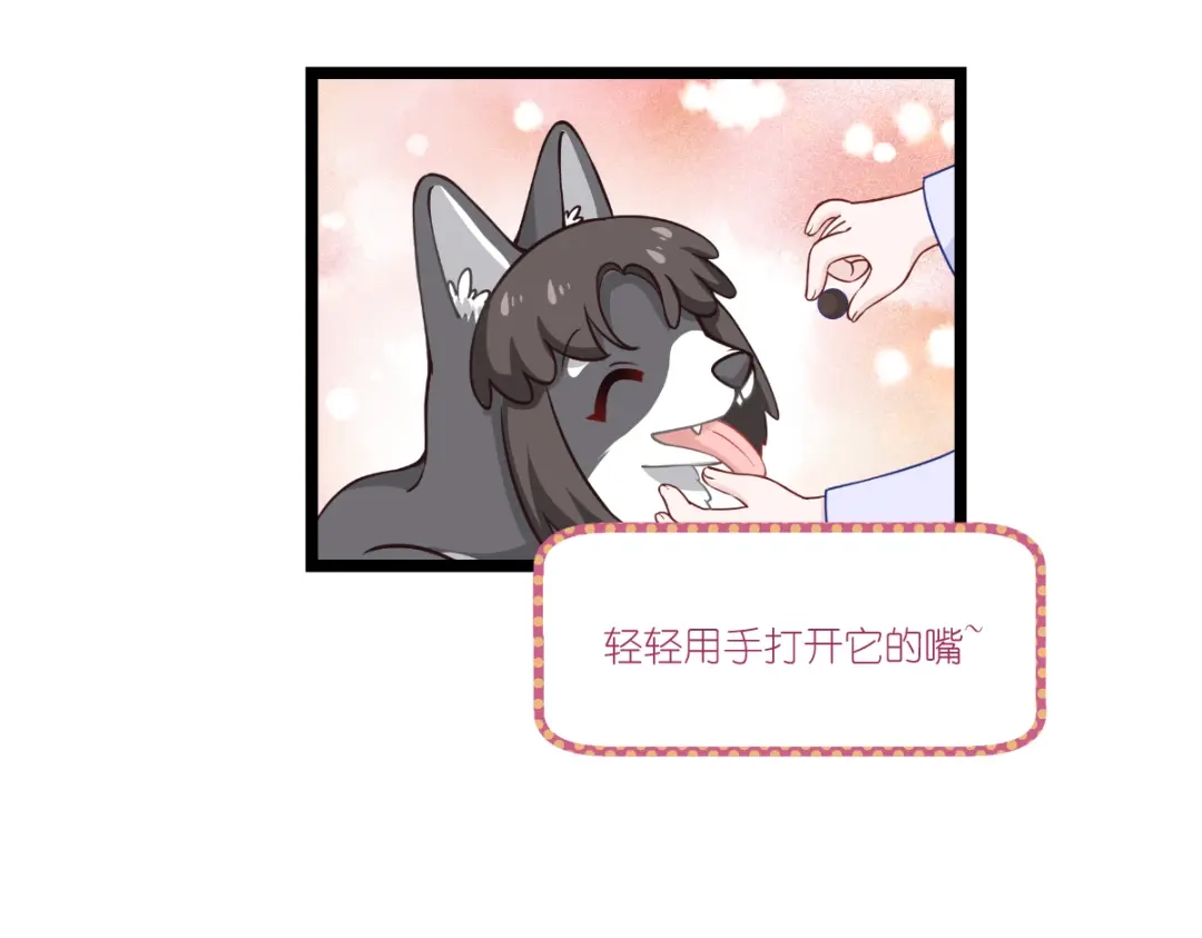 第80页
