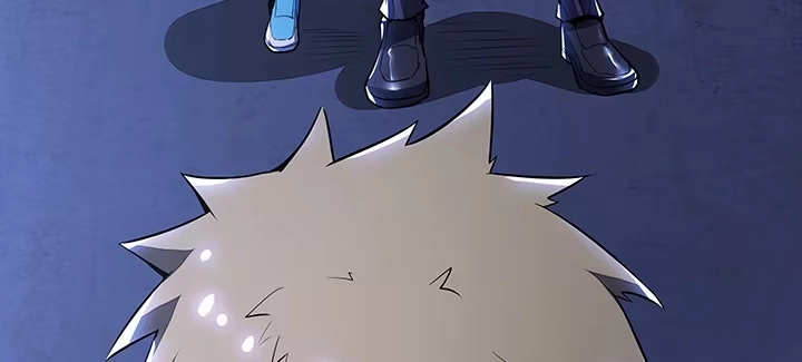 第355页