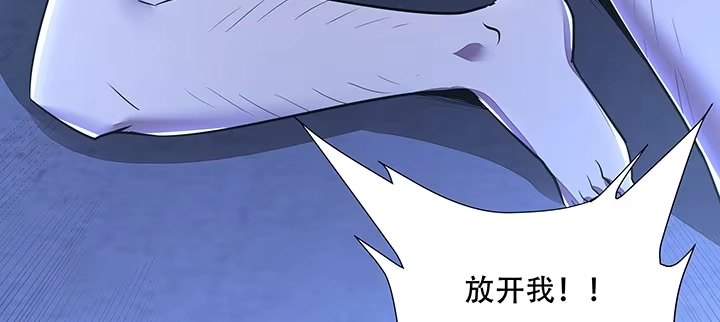 第368页