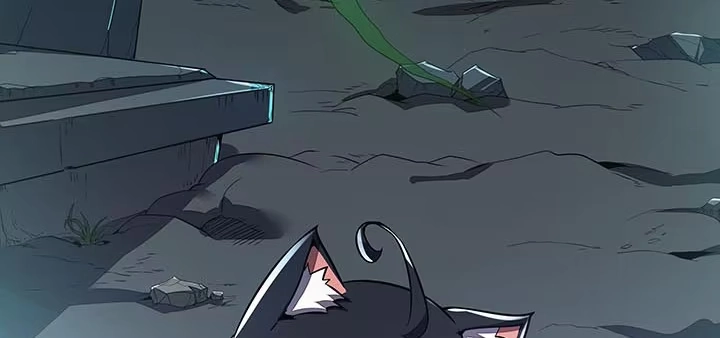 第185页