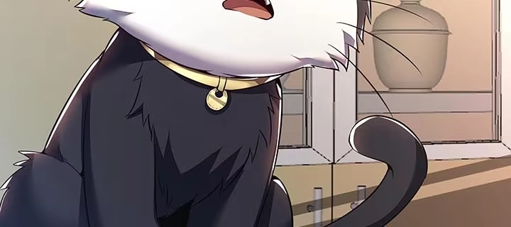 第205页