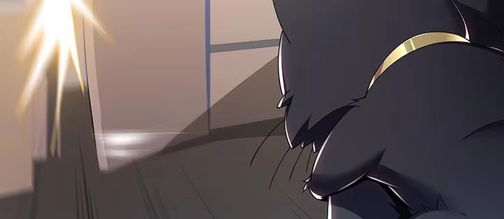 第266页