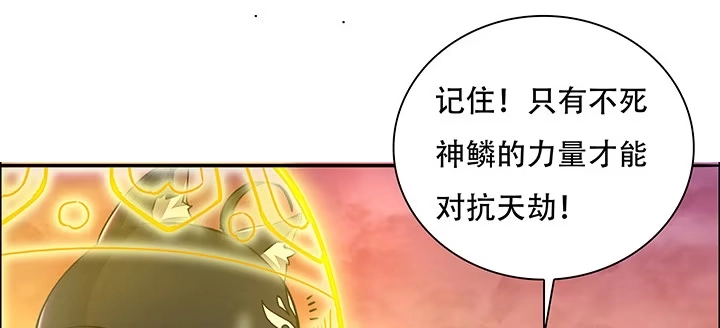 第222页