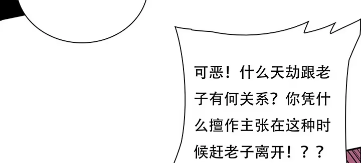 第231页