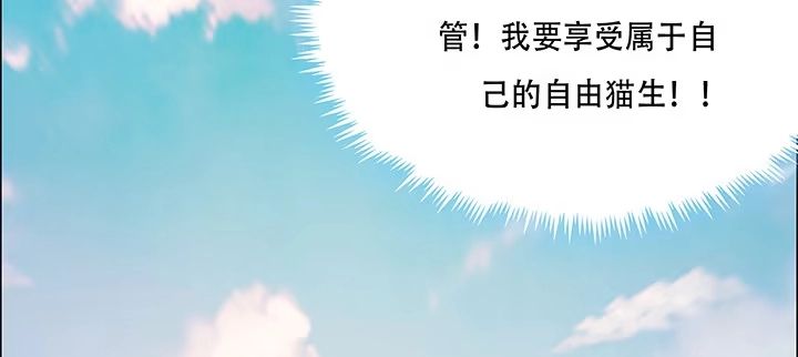 第281页