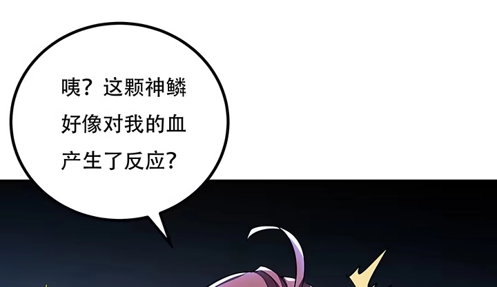 第448页
