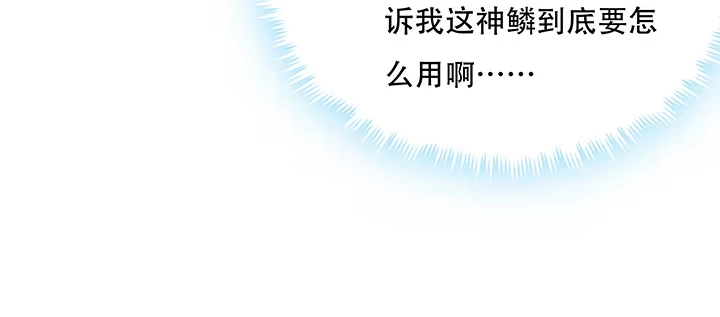 第205页