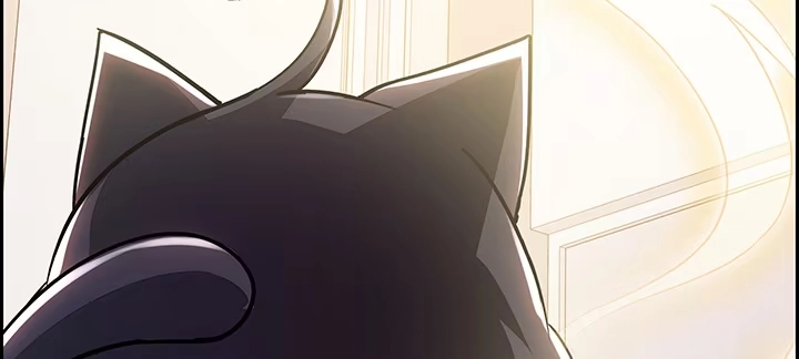 第235页