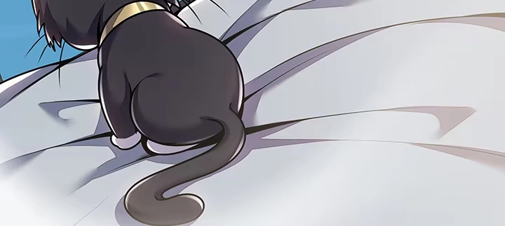 第454页