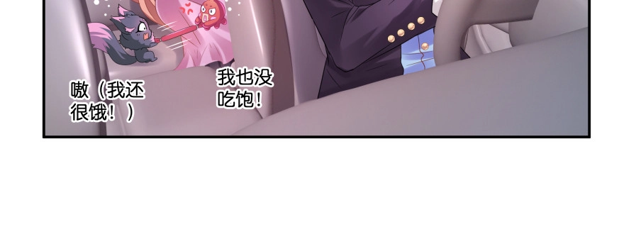 第204页