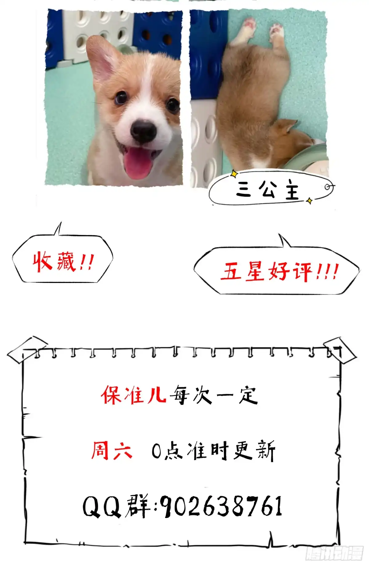 第43页