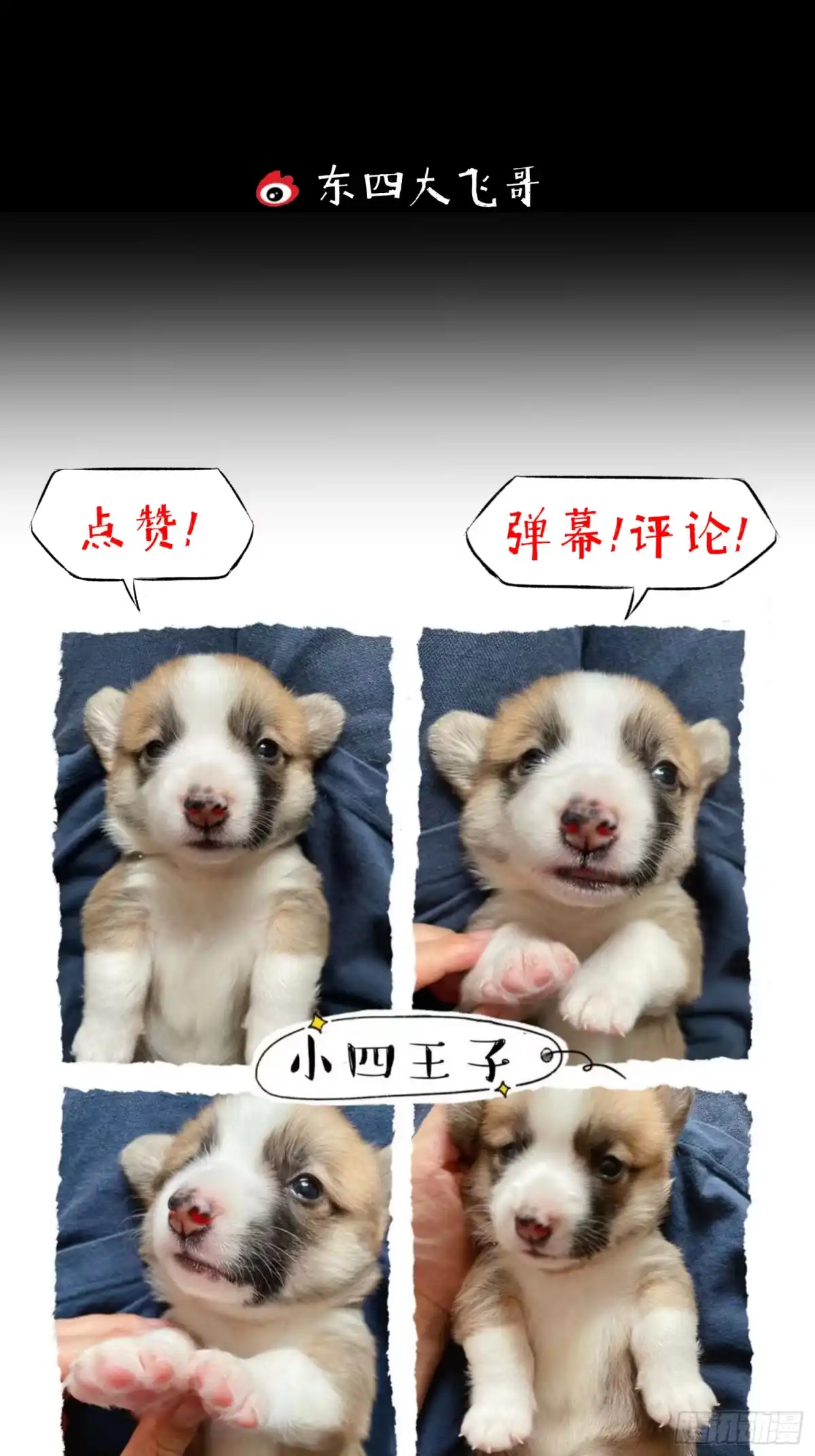 第55页