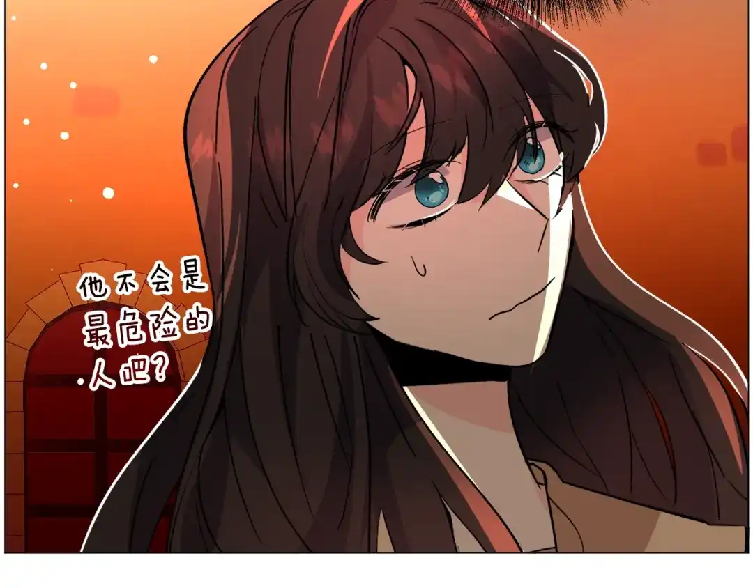 第204页