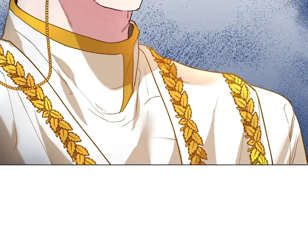 第217页