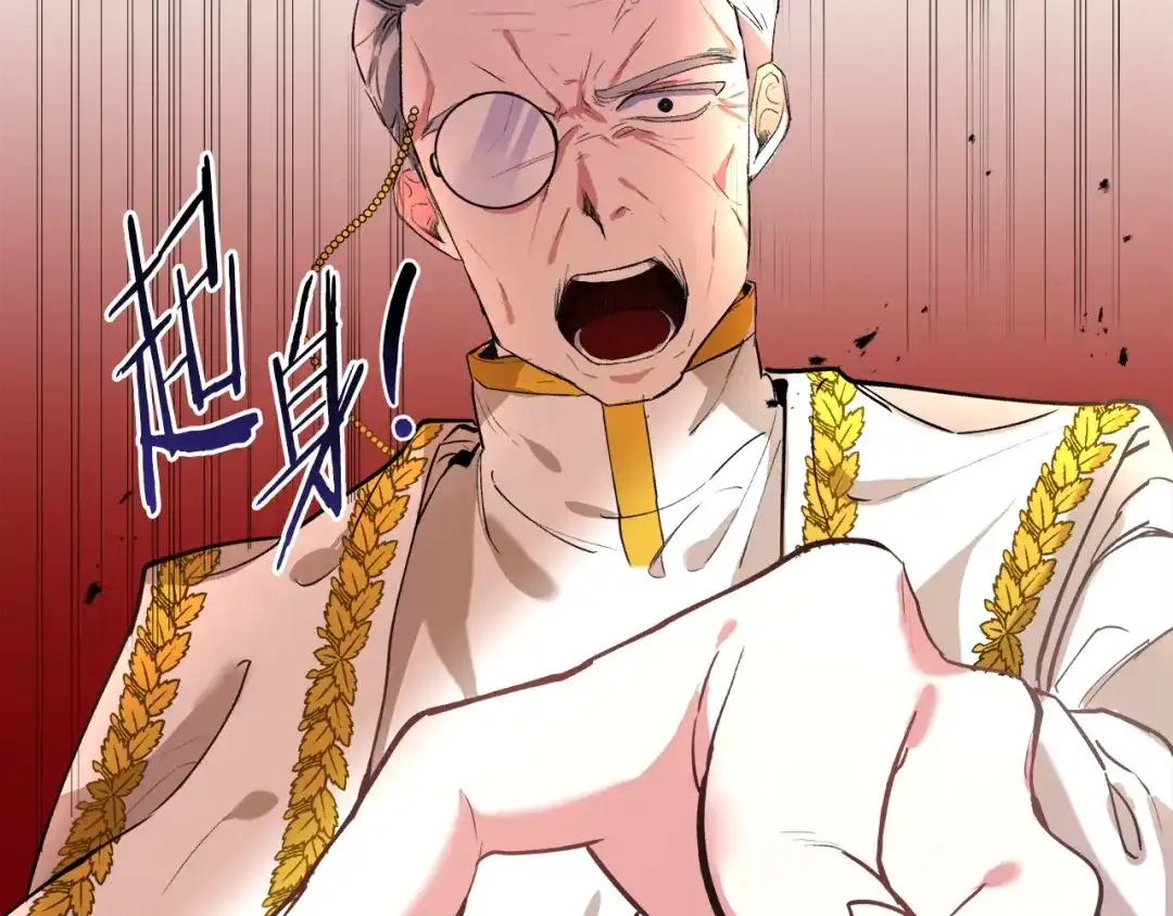 第224页