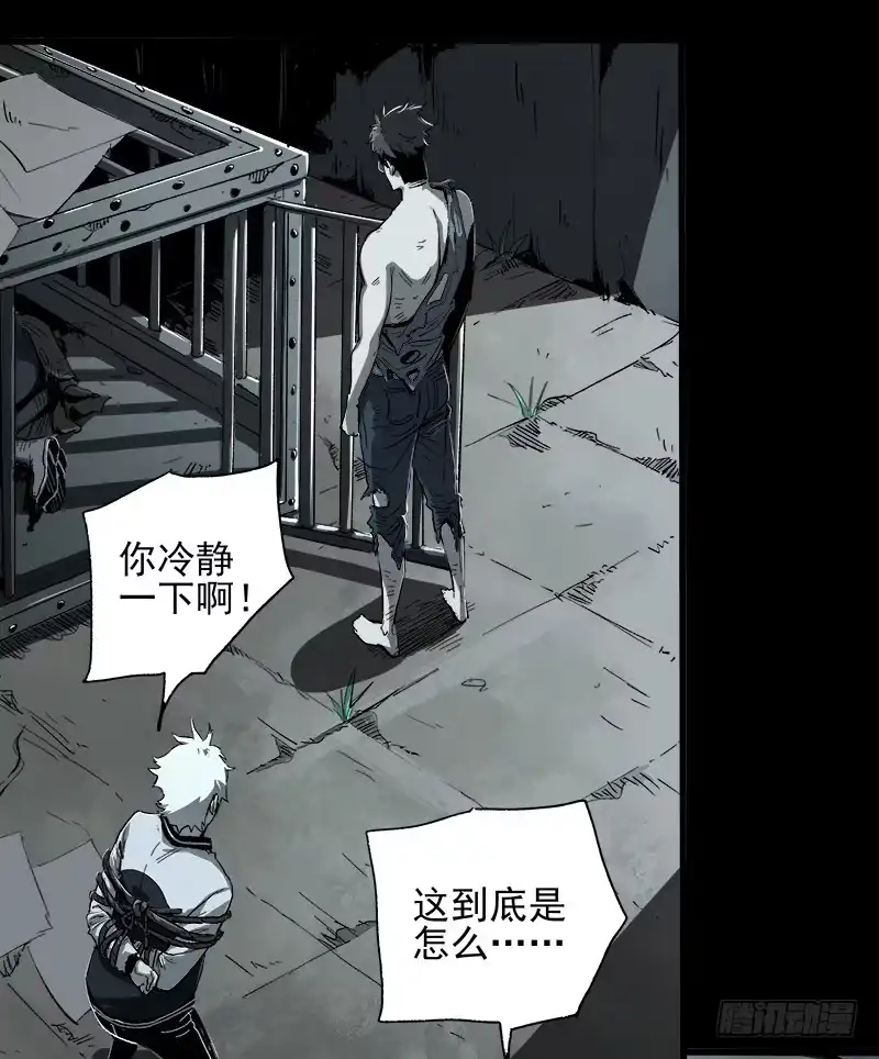 第55页