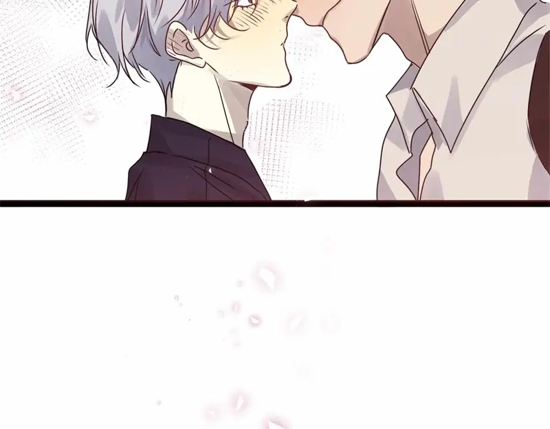 第204页