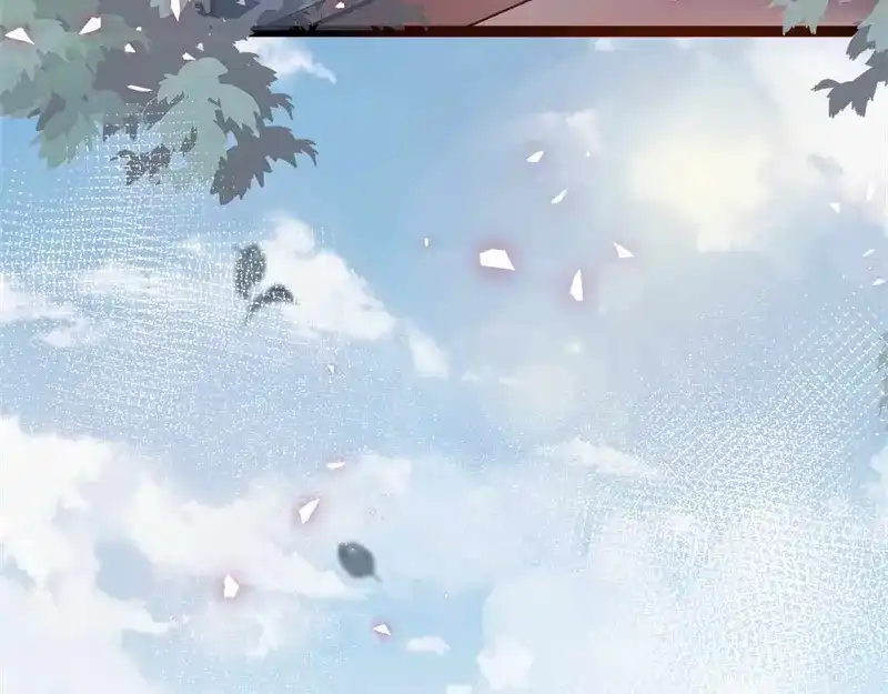 第207页