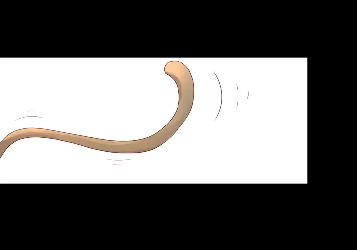 第168页