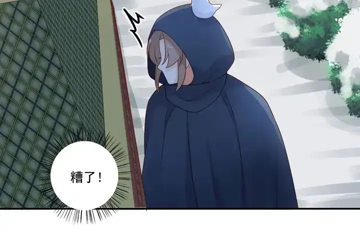 第204页