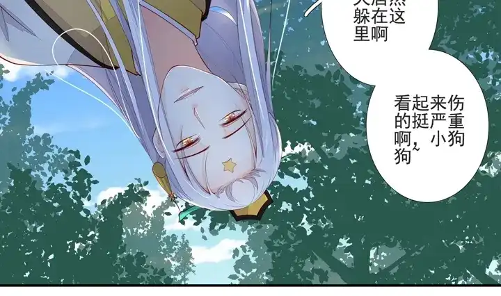 第54页