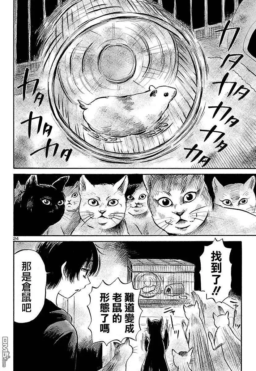第25页