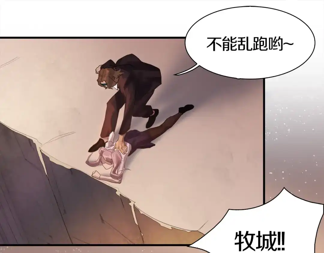 第208页