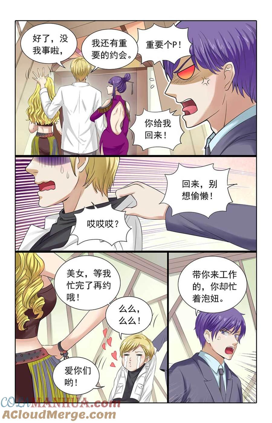 第3页