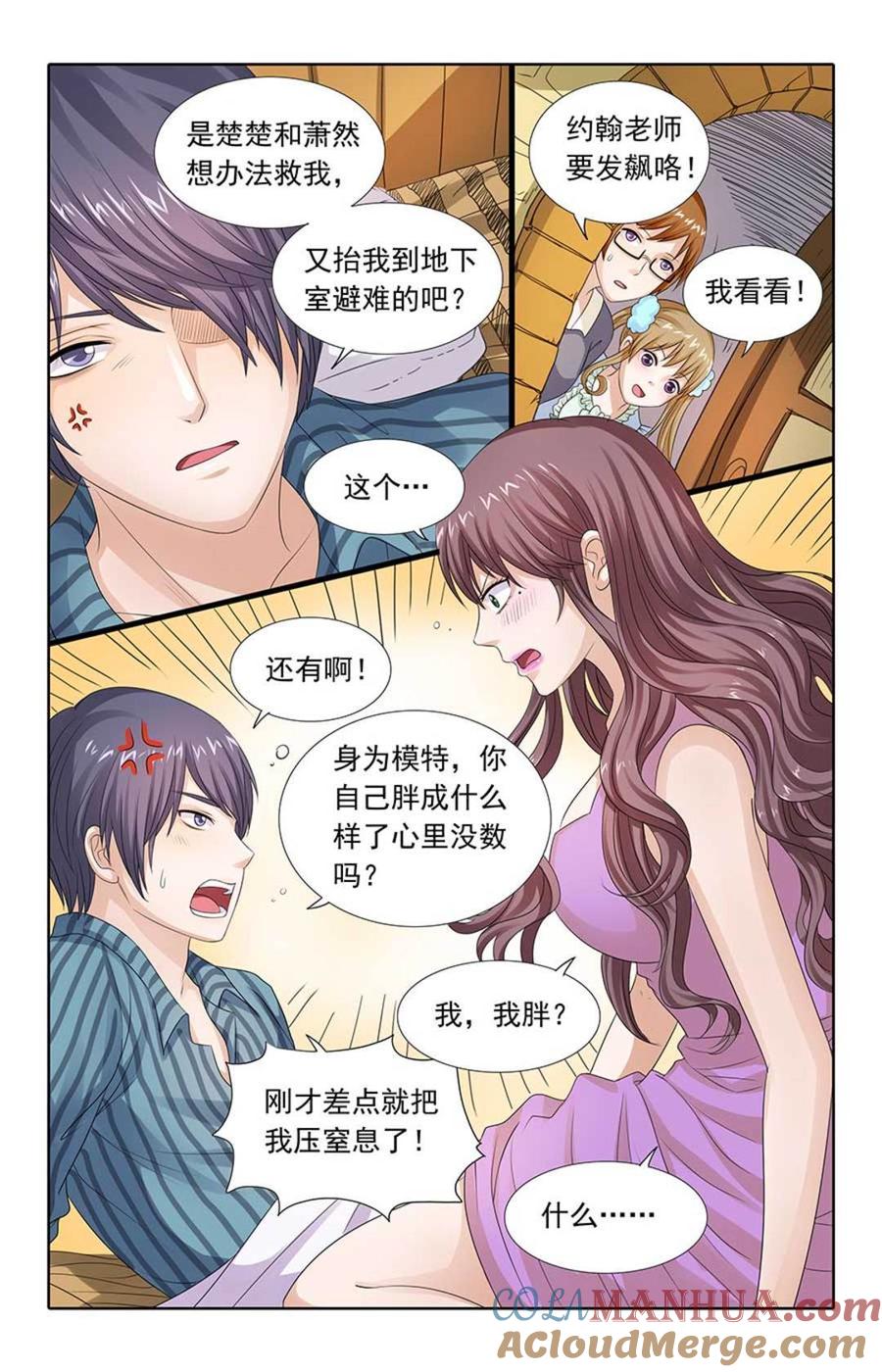 第3页