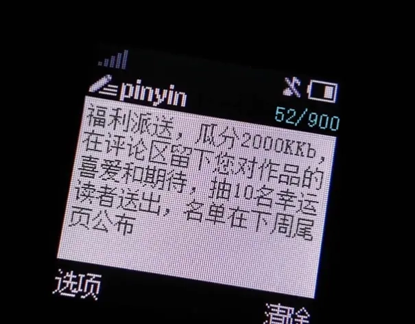 第250页