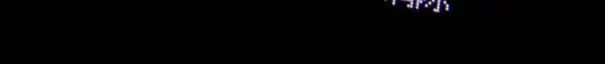 第251页
