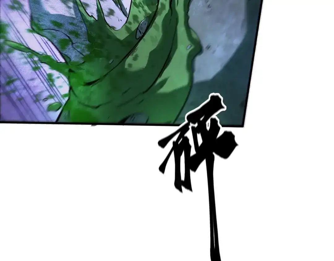 第204页
