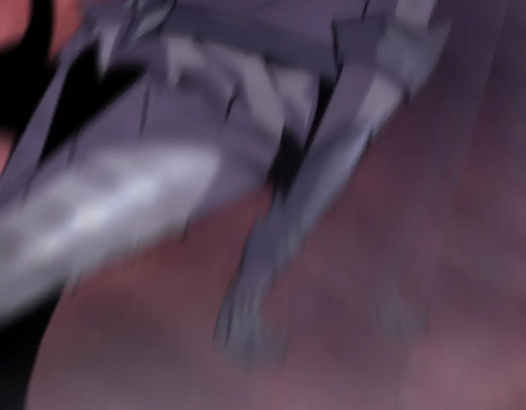 第216页