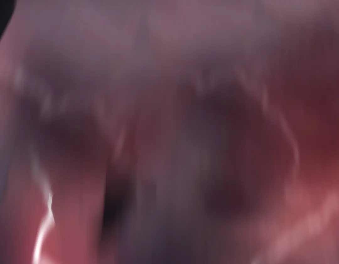 第217页