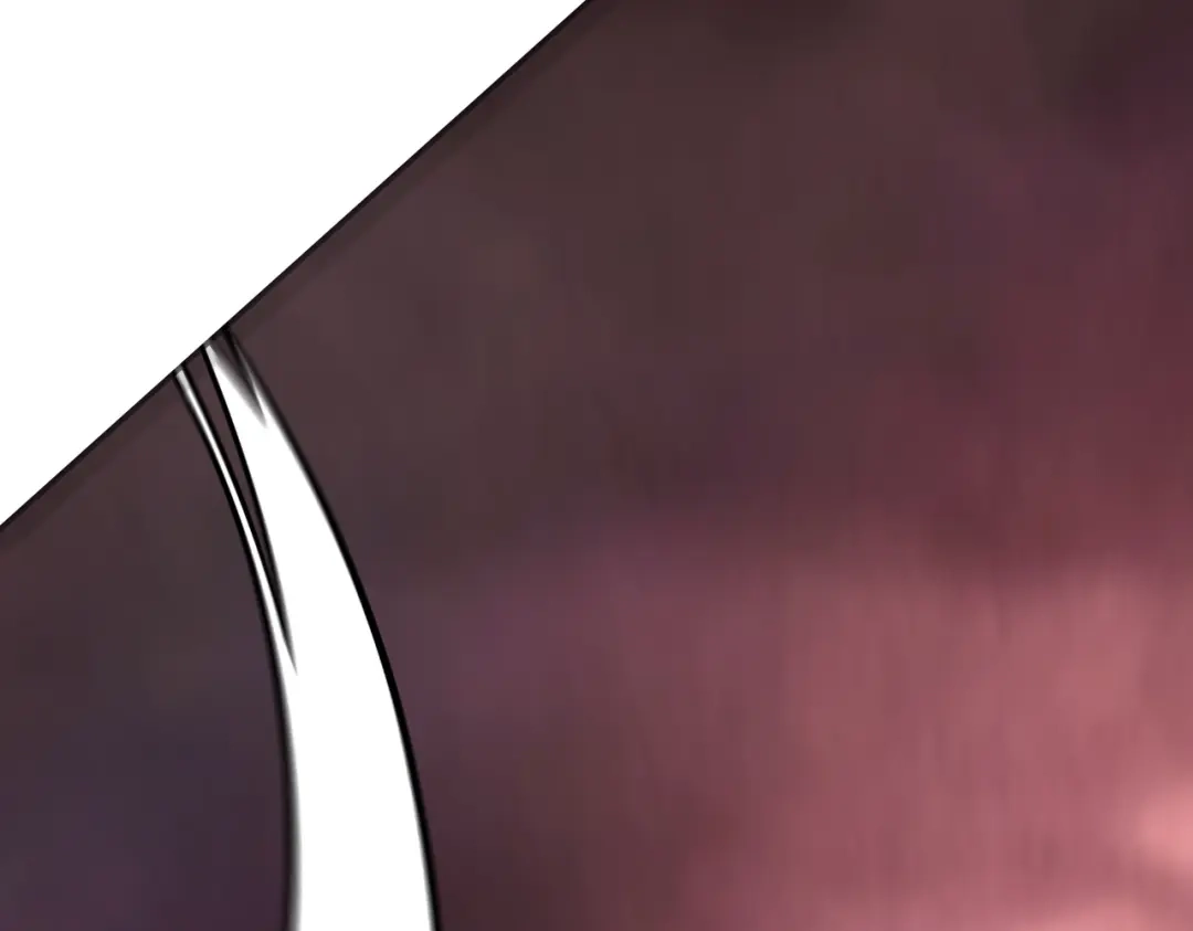 第229页