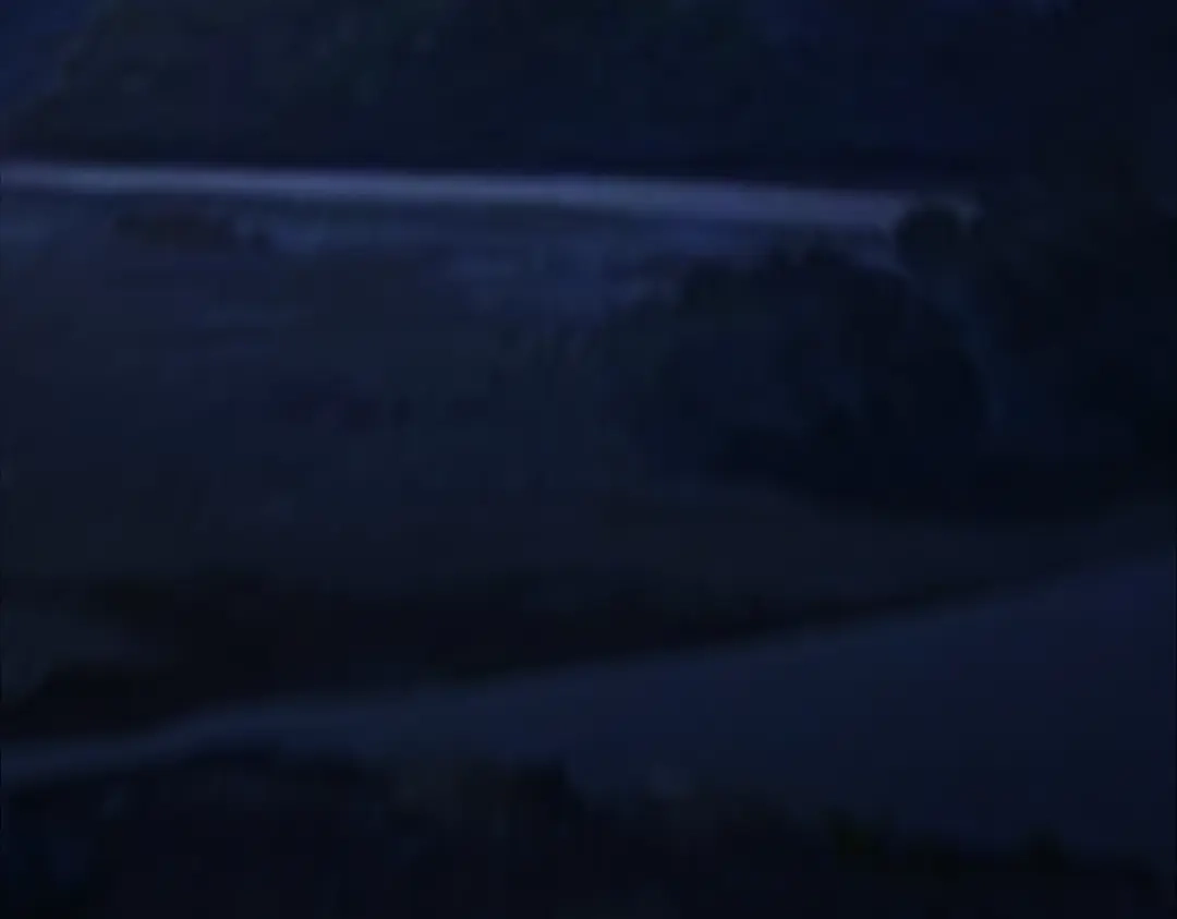 第256页